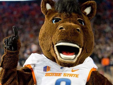 The Boise State University Mascot: Stepping into the Limelight